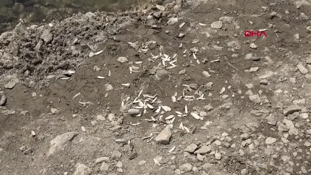 Son dakika haber... AYNI AİLEDEN 5 KİŞİNİN BOĞULDUĞU BARAJ GÖLÜNE İNEN YOL KAPATILDI 4 Son dakika haber... AYNI AİLEDEN 5 KİŞİNİN BOĞULDUĞU BARAJ GÖLÜNE İNEN YOL KAPATILDI