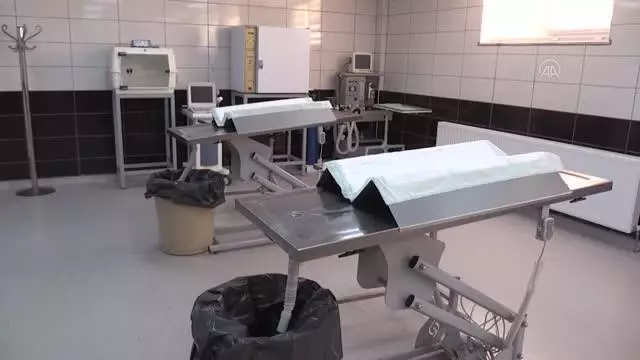 BALIKESİR - Barınakta her yıl binlerce hayvan ameliyatla sağlığına kavuşturuluyor