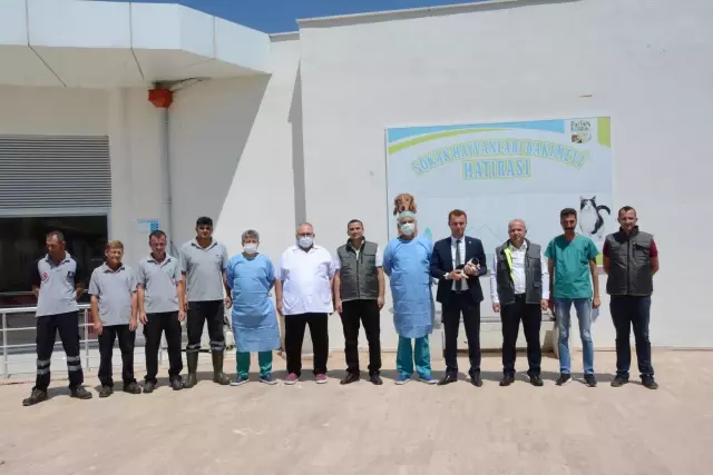 Balıkesir'deki barınakta her yıl binlerce hayvan ameliyatla sağlığına kavuşturuluyor