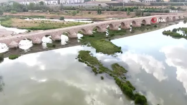 Son dakika haberleri | Balıkları zehir değil kavuran sıcaklar öldürdü Son dakika haberleri | Balıkları zehir değil kavuran sıcaklar öldürdü