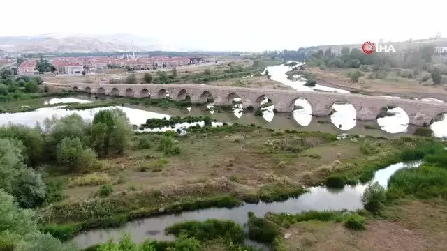 Son dakika haberleri | Balıkları zehir değil kavuran sıcaklar öldürdü