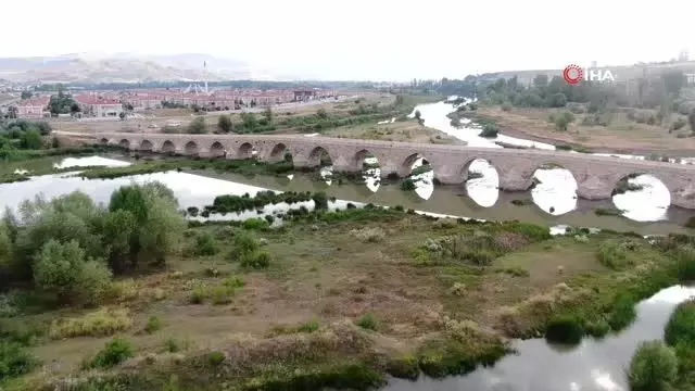 Son dakika haberleri | Balıkları zehir değil kavuran sıcaklar öldürdü