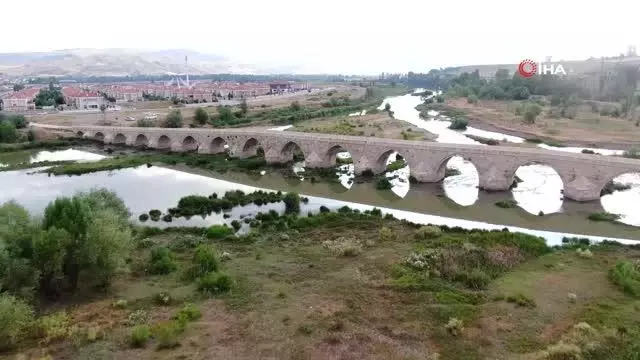 Son dakika haberleri | Balıkları zehir değil kavuran sıcaklar öldürdü