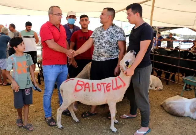'Balotelli' 2 bin 400 liraya satıldı 'Balotelli' 2 bin 400 liraya satıldı