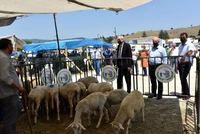 BAŞKANIMIZ BAKKALCIOĞLU HAYVAN PAZARINI ZİYARET ETTİ 19 Temmuz 2021, 15: 48
