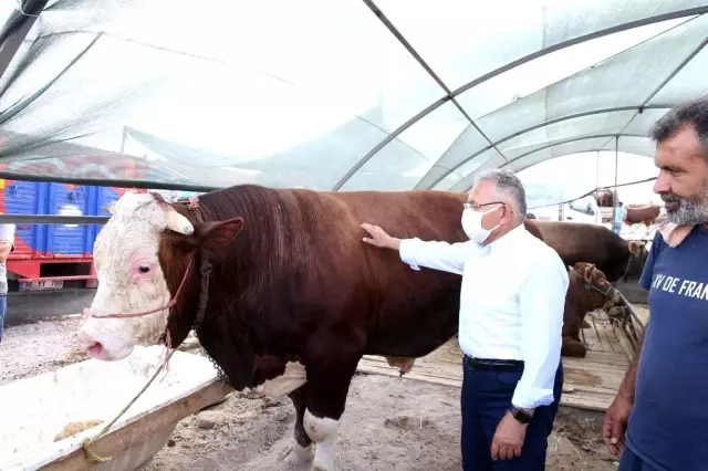 Başkan Büyükkılıç kurban satış yerlerini ve kesim alanlarını inceledi