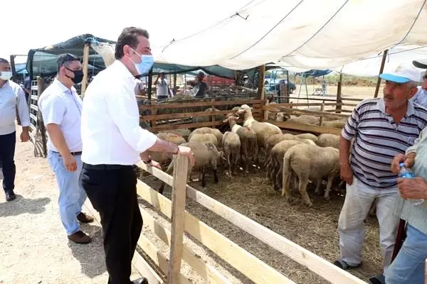 Başkan Tosun kurban pazarını gezdi