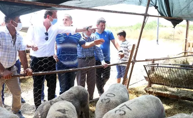 Başkan Tosun kurban pazarını gezdi