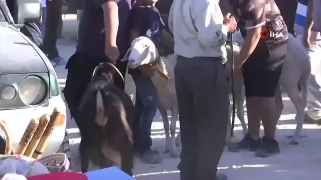 Batı Şeria'da halk kurbanlık fiyatlarından şikayetçi