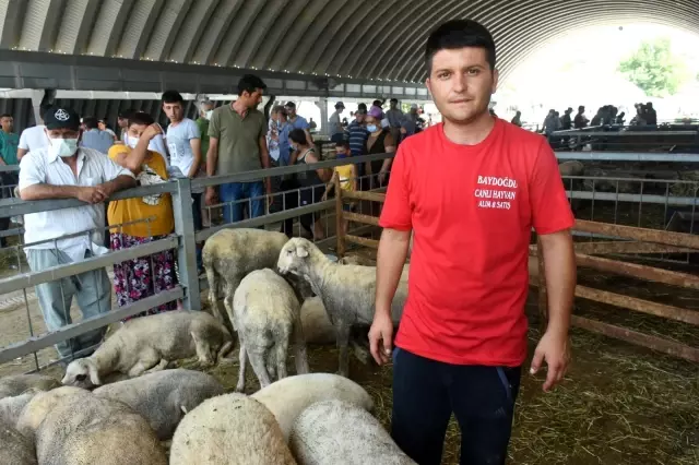 Bayram öncesi kurbanlıklara vatandaşlar yoğun ilgi gösteriyor