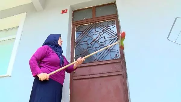 İstanbul'da tırtıl istilası! Vatandaşlar 1 aydır ne yapacağını şaşırdı