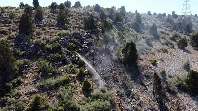 Ormanlık alanda çıkan yangın kontrol altına alındı