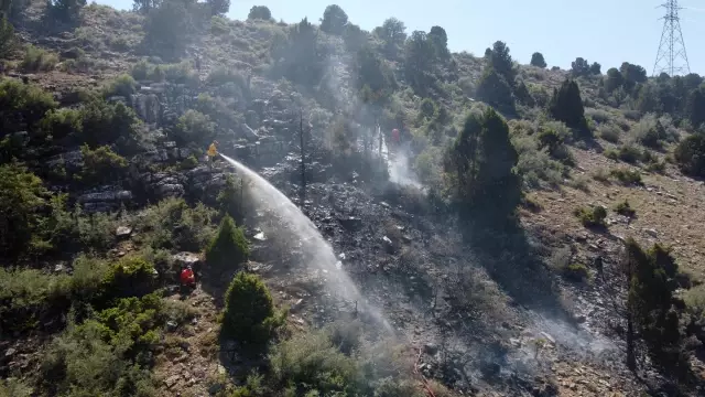 Ormanlık alanda çıkan yangın kontrol altına alındı