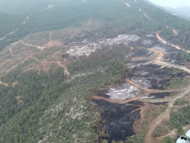 Soğutma çalışması süren ormanlık alandaki yangın yeniden alevlendi