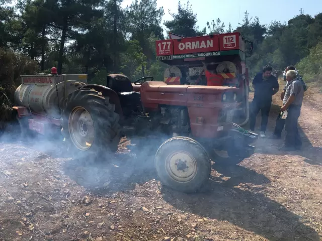 Soğutma çalışması süren ormanlık alandaki yangın yeniden alevlendi