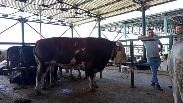 Bin 470 kiloluk 'Covid' alıcısını bekliyor