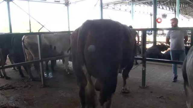 Bin 470 kiloluk 'Covid' alıcısını bekliyor