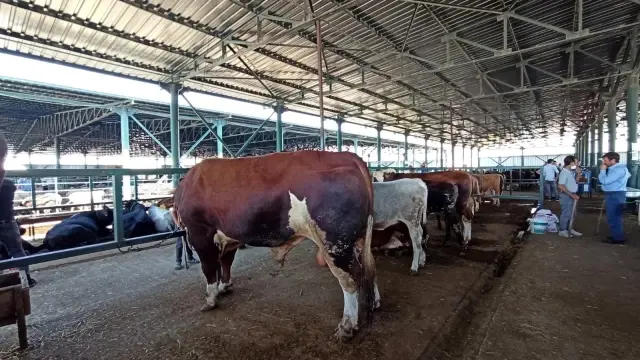 Bin 470 kiloluk 'Covid' alıcısını bekliyor