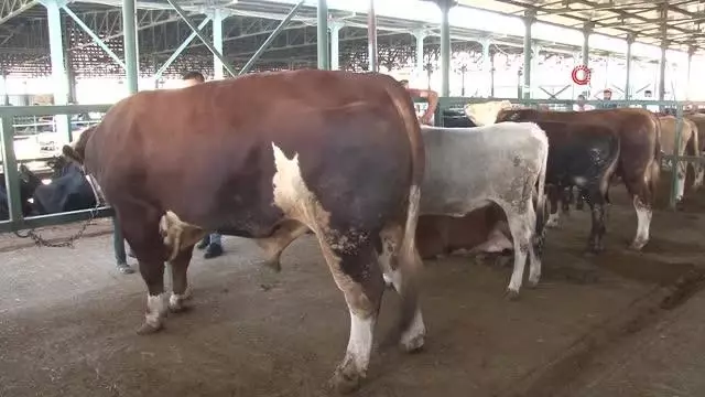 Bin 470 kiloluk 'Covid' alıcısını bekliyor