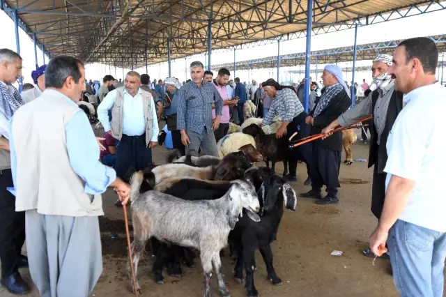 Bölgenin en büyük hayvan pazarında hareketlilik devam ediyor