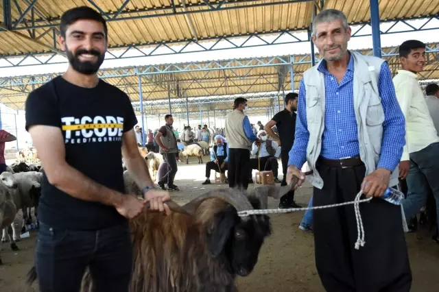 Bölgenin en büyük hayvan pazarında hareketlilik devam ediyor