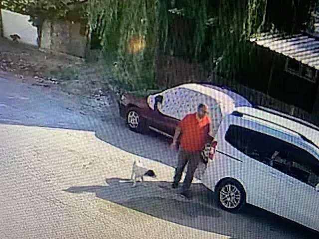 Yaşlı adamın kurbanlıklarını böyle çaldı