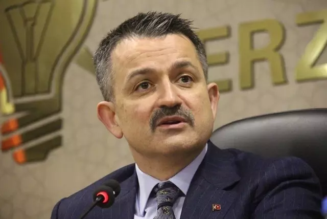 BAKAN PAKDEMİRLİ: BU BAYRAMDA DA YETERLİ KURBANLIĞIMIZ MEVCUT
