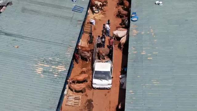 Bursa'da hayvan pazarlarında beklenen hareketlilik yaşanmadı