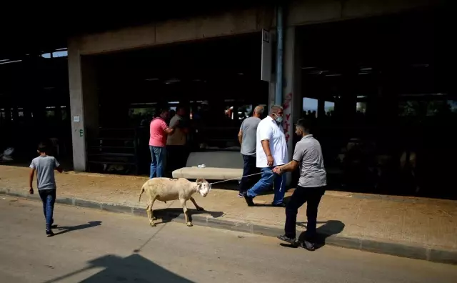 Bursa'da hayvan pazarlarında beklenen hareketlilik yaşanmadı