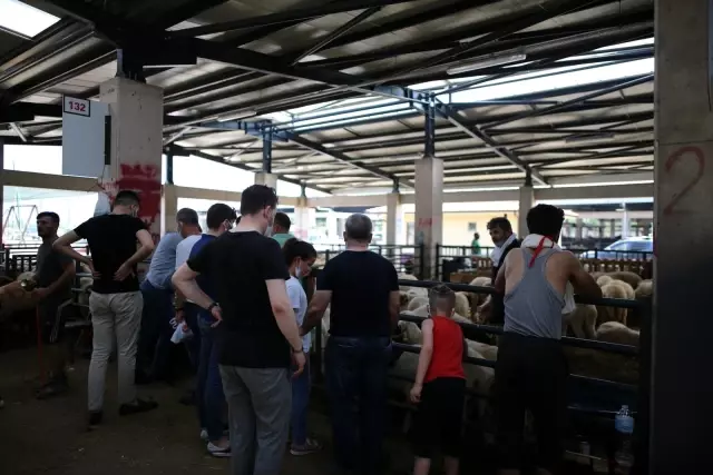 Bursa'da hayvan pazarlarında beklenen hareketlilik yaşanmadı
