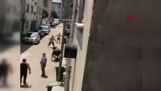 Kaçan boğa, zor anlar yaşattı
