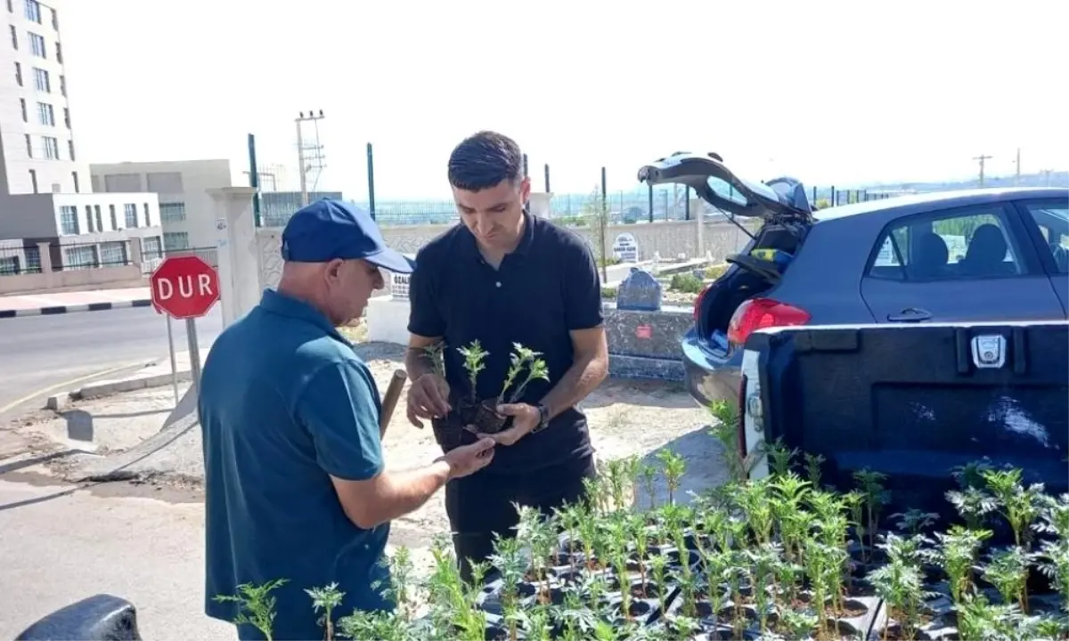 Büyükşehir Serasında Yetişen Çiçekler, Manisalılarla Buluştu