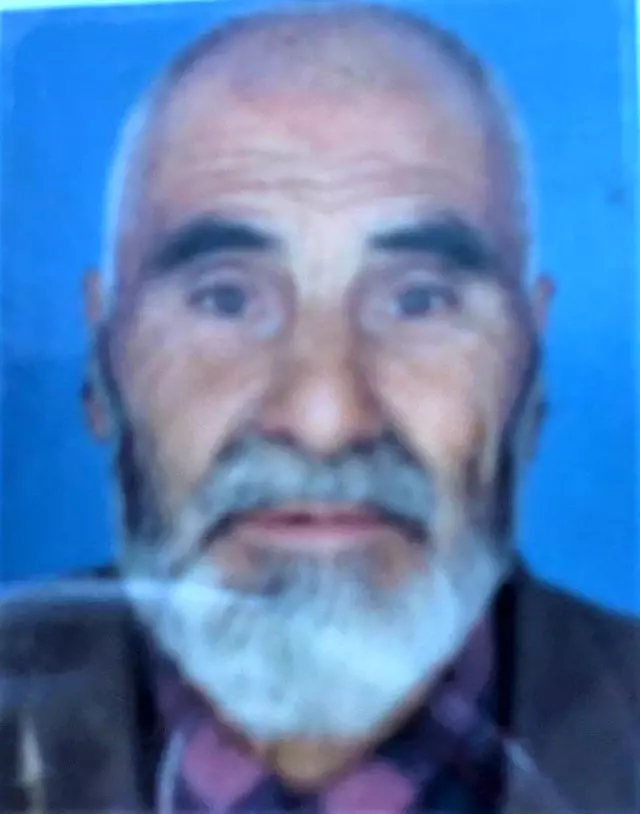 Çameli'nin en yaşlı çınarı hayatını kaybetti