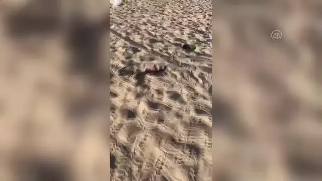 ÇANAKKALE - Bozcaada'da plajdaki şezlong ve şemsiyelere zarar veren kişilere cezai işlem uygulanacak