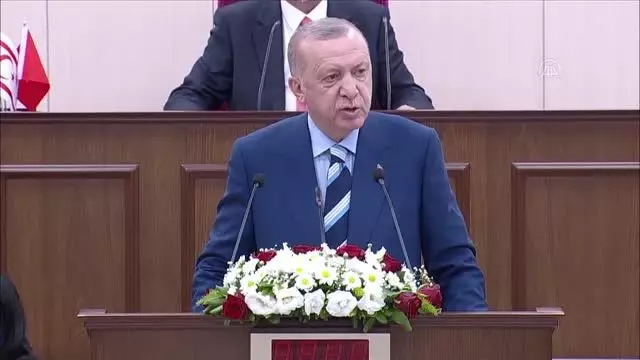 Cumhurbaşkanı Erdoğan: 'Kıbrıs davasının sahibi, yavru vatanıyla, anavatanıyla, büyük Türk milletinin tamamıdır'