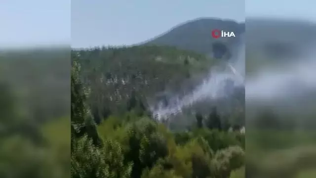 Denizli'de orman yangını: 15 dekar orman küle döndü Denizli'de orman yangını: 15 dekar orman küle döndü