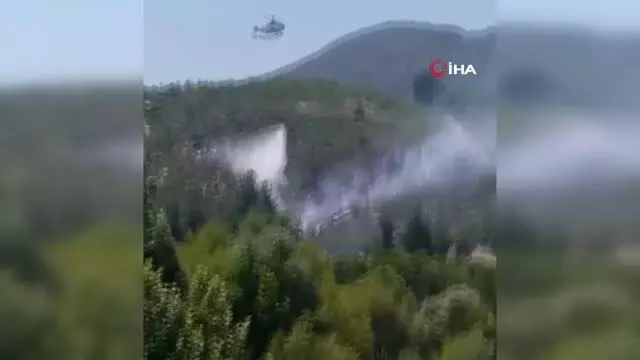 Denizli'de orman yangını: 15 dekar orman küle döndü