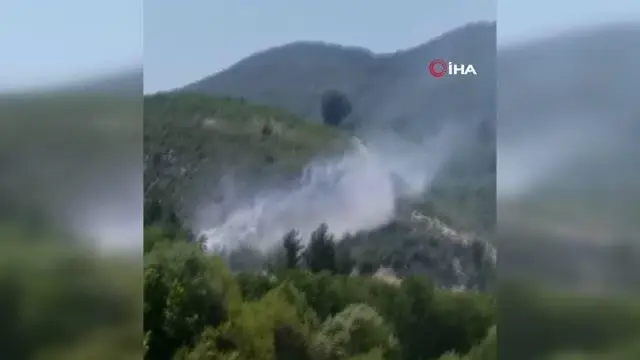 Denizli'de orman yangını: 15 dekar orman küle döndü