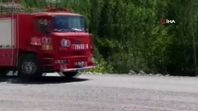 Denizli'de orman yangını: 15 dekar orman küle döndü