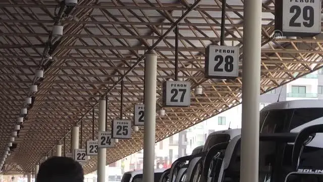 DİYARBAKIR - Güneydoğu'daki otogarlarda Kurban Bayramı hareketliliği yaşanıyor
