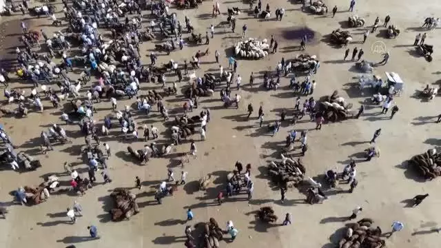 Doğu Anadolu'daki hayvan pazarlarında arife yoğunluğu