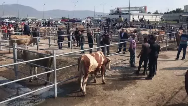 Doğu Anadolu'daki hayvan pazarlarında arife yoğunluğu