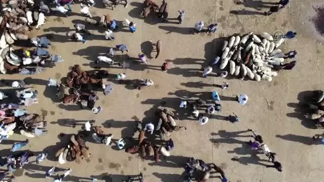 Doğu Anadolu'daki hayvan pazarlarında arife yoğunluğu