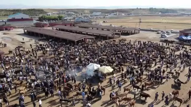 Doğu Anadolu'daki hayvan pazarlarında arife yoğunluğu