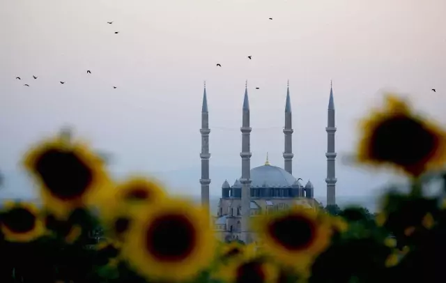 Edirne'de açan ayçiçeklerinin oluşturduğu sarı şölen kenti dev bir yağlı boya tablosuna dönüştürdü Edirne'de açan ayçiçeklerinin oluşturduğu sarı şölen kenti dev bir yağlı boya tablosuna dönüştürdü