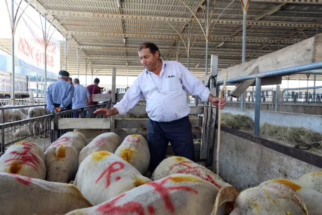 Kurban pazarlarında arife günü hareketliliği