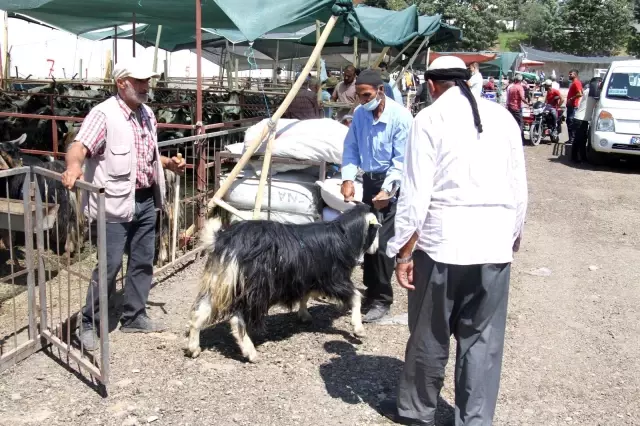 Elazığ'da kurbanlık satışları devam ediyor