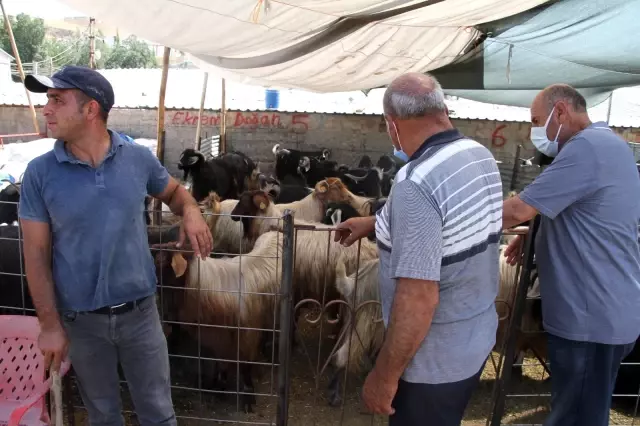 Elazığ'da kurbanlık satışları devam ediyor