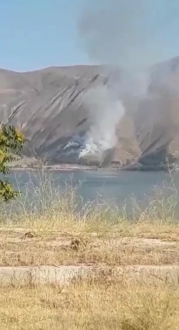 Son dakika! ELAZIĞ'DA ORMAN YANGINI BÜYÜMEDEN KONTROL ALTINA ALINDI