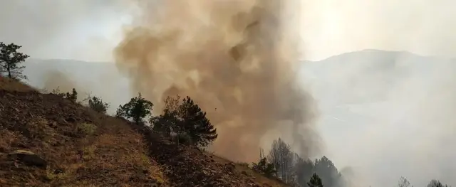 Elazığ'daki orman yangını söndürüldü